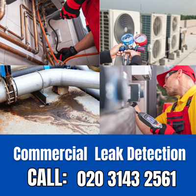 Commercial Leak Detection Services in Plumstead | Plumstead Leak Detection