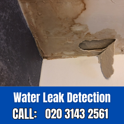 Expert Water Leak Detection Services in Plumstead | Plumstead Leak Detection